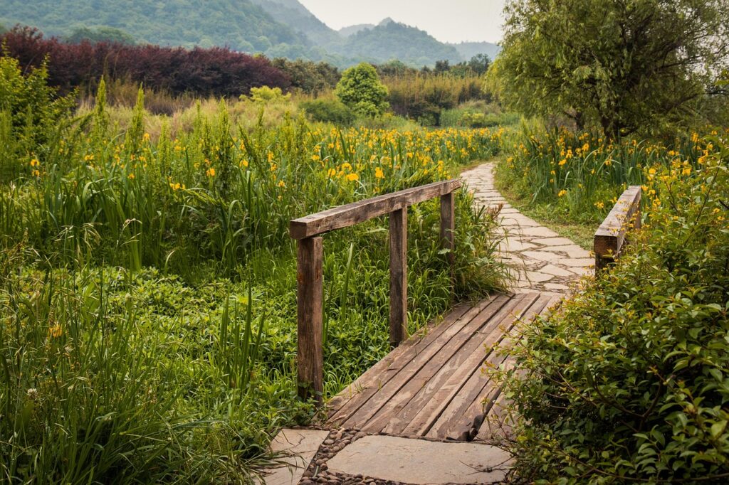 china, meadow, guizhou, path, scenery, wooden bridge, bridge, china, china, china, meadow, path, path, path, scenery, bridge, bridge, bridge, bridge, bridge